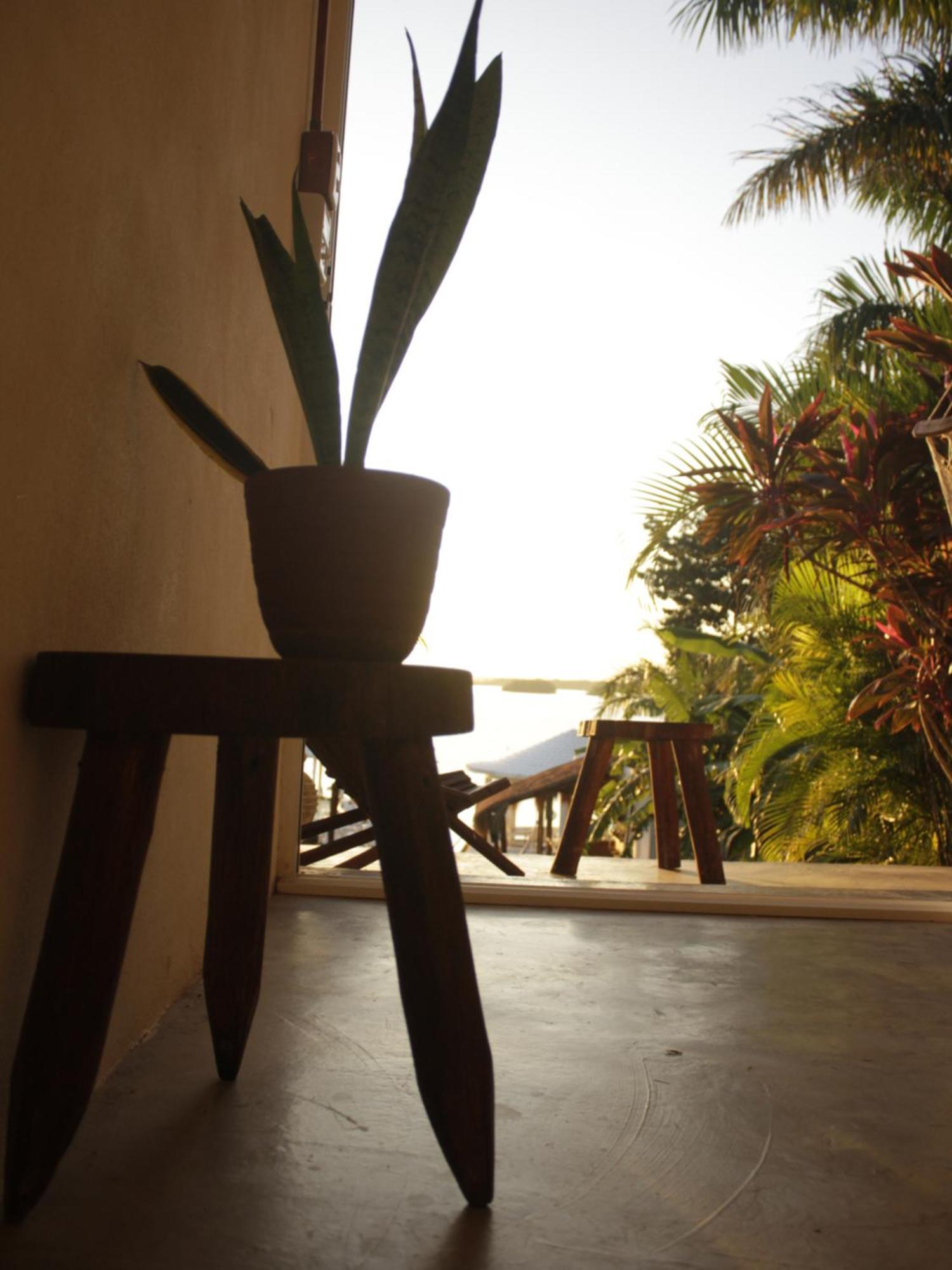 Tropic Bacalar Hotel ภายนอก รูปภาพ