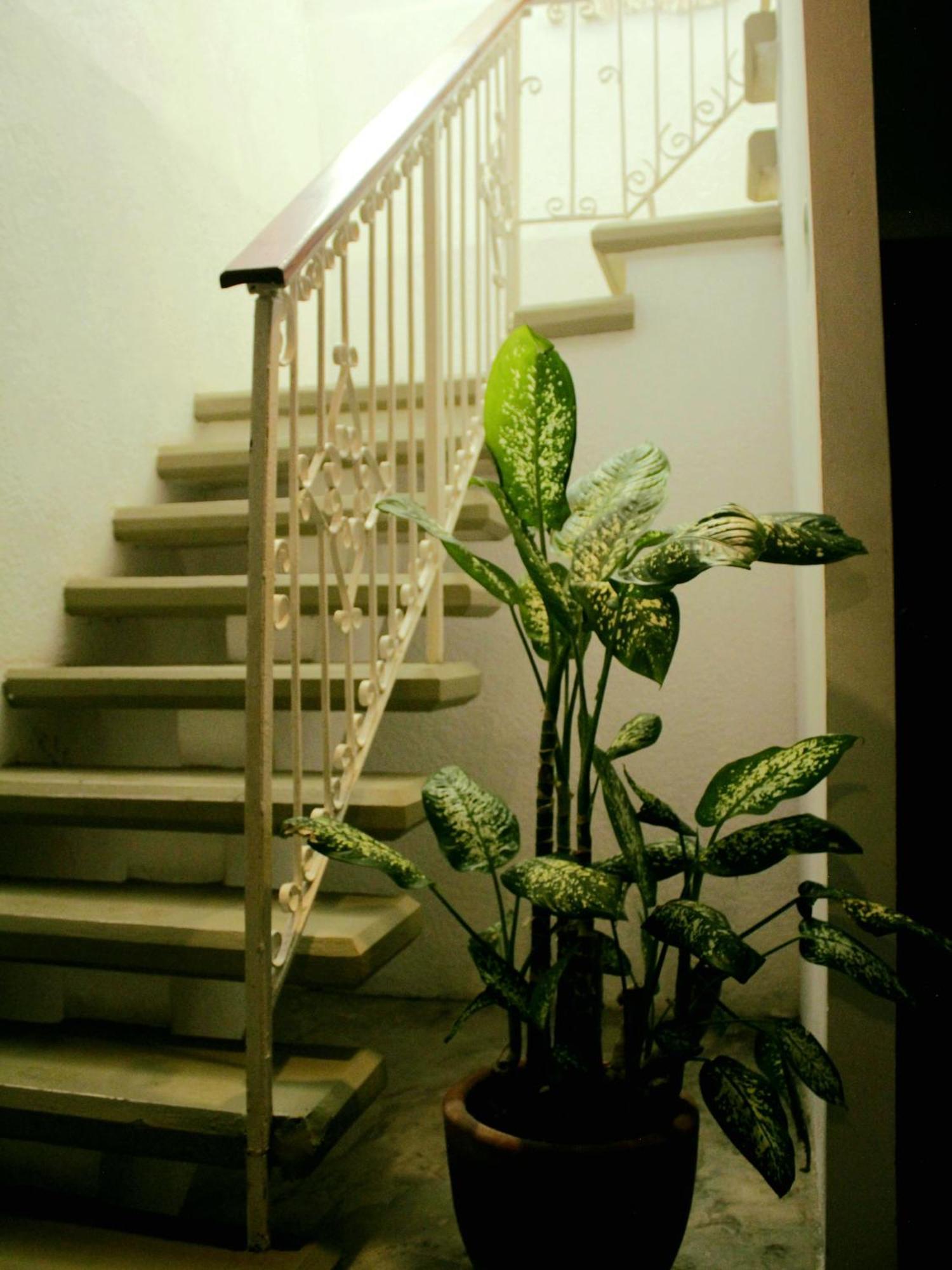 Tropic Bacalar Hotel ภายนอก รูปภาพ