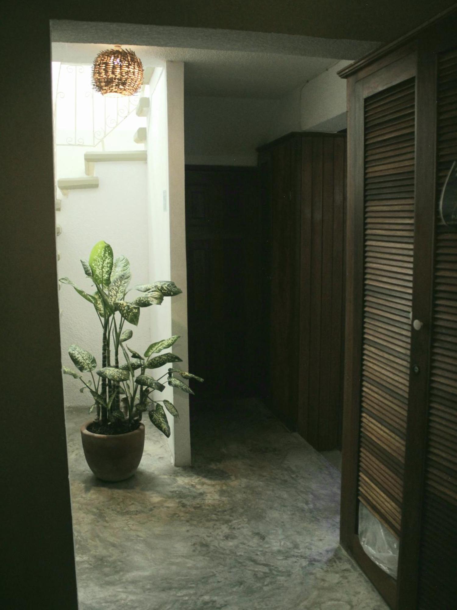 Tropic Bacalar Hotel ภายนอก รูปภาพ